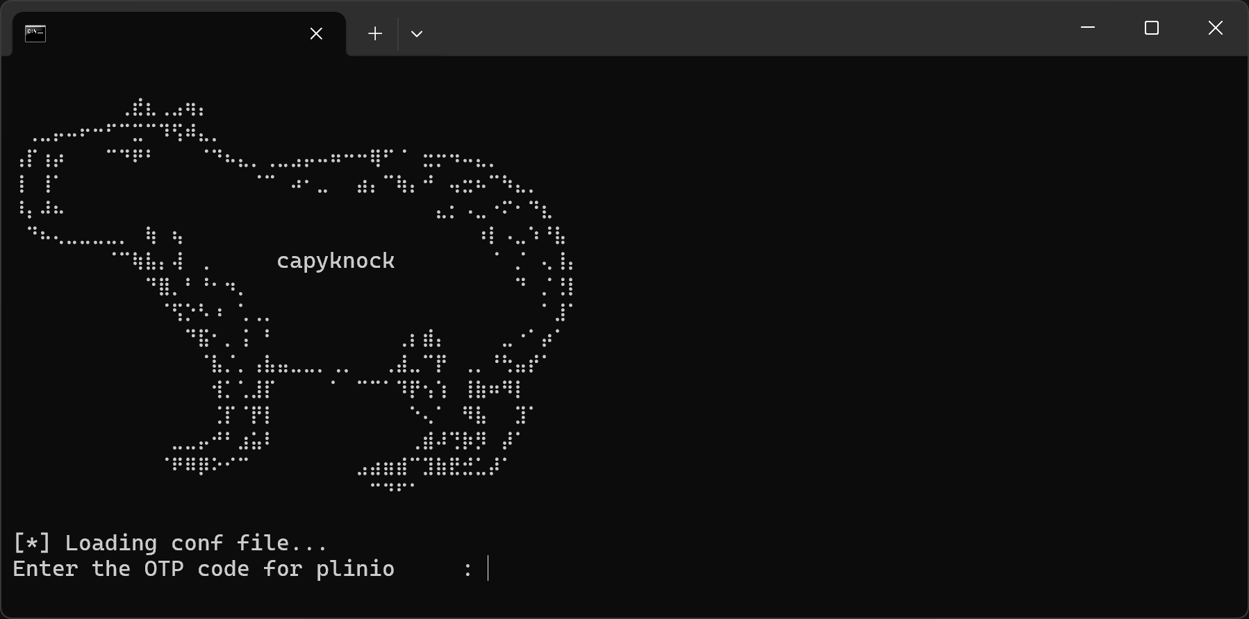 the capybara ASCII art